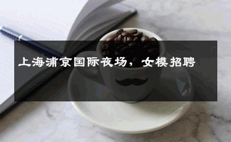上海浦京国际夜场，女模招聘 