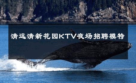 清远清新花园KTV夜场招聘模特 