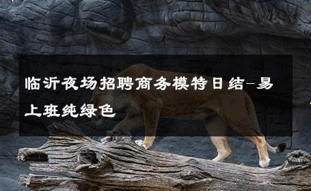 临沂夜场招聘商务模特日结-易上班纯绿色 