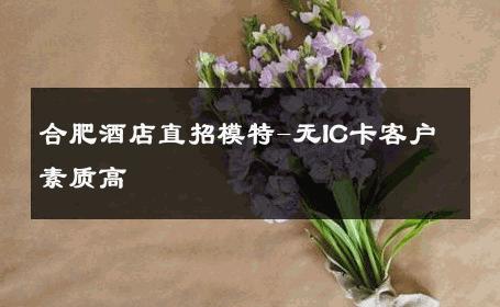 合肥酒店直招模特-无IC卡客户素质高 