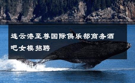连云港至尊国际俱乐部商务酒吧女模招聘 