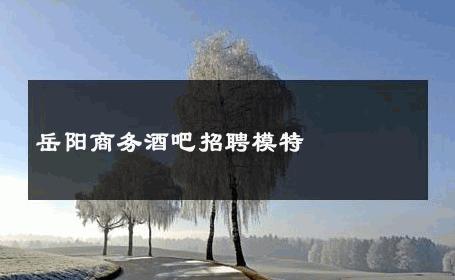 岳阳商务酒吧招聘模特 