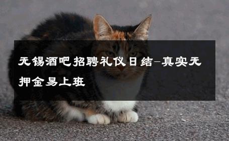无锡酒吧招聘礼仪日结-真实无押金易上班 
