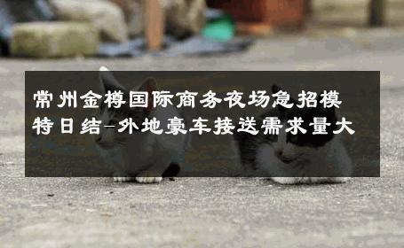 常州金樽国际商务夜场急招模特日结-外地豪车接送需求量大 