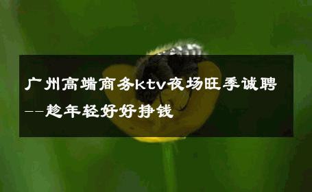 广州高端商务ktv夜场旺季诚聘--趁年轻好好挣钱 