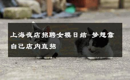 上海夜店招聘女模日结-梦想靠自己店内直招 