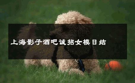 上海影子酒吧诚招女模日结 