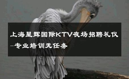 上海星辉国际KTV夜场招聘礼仪-专业培训无任务 