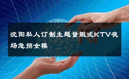 沈阳私人订制主题量贩式KTV夜场急招女模 