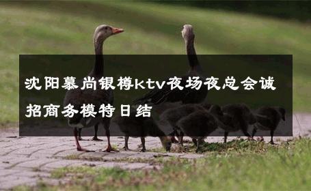 沈阳慕尚银樽ktv夜场夜总会诚招商务模特日结 