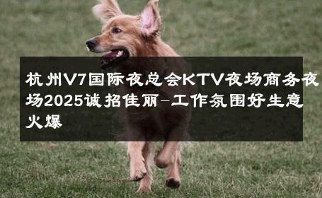杭州V7国际夜总会KTV夜场商务夜场2025诚招佳丽-工作氛围好生意火爆 