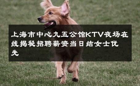 上海市中心九五公馆KTV夜场在线揭秘招聘薪资当日结女士优先 