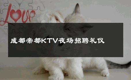 成都帝都KTV夜场招聘礼仪 
