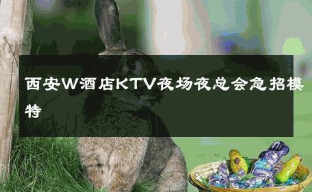 西安W酒店KTV夜场夜总会急招模特 
