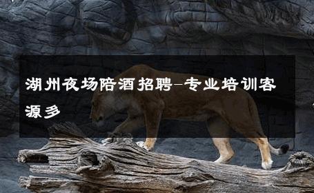 湖州夜场陪酒招聘-专业培训客源多 