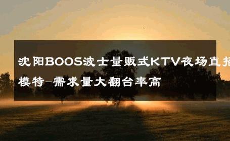 沈阳BOOS波士量贩式KTV夜场直招模特-需求量大翻台率高 