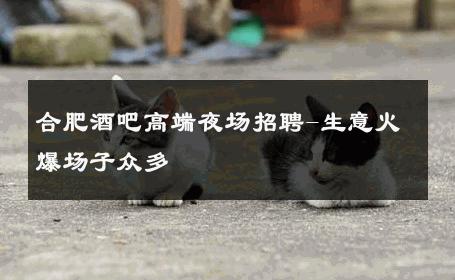 合肥酒吧高端夜场招聘-生意火爆场子众多 