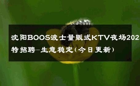 沈阳BOOS波士量贩式KTV夜场2023模特招聘-生意稳定(今日更新) 