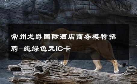 常州龙爵国际酒店商务模特招聘-纯绿色无IC卡 