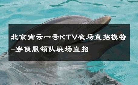 北京宵云一号KTV夜场直招模特-穿便服领队驻场直招 