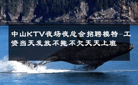 中山KTV夜场夜总会招聘模特-工资当天发放不拖不欠天天上班  