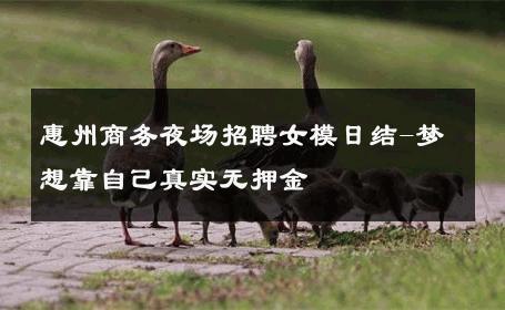 惠州商务夜场招聘女模日结-梦想靠自己真实无押金 