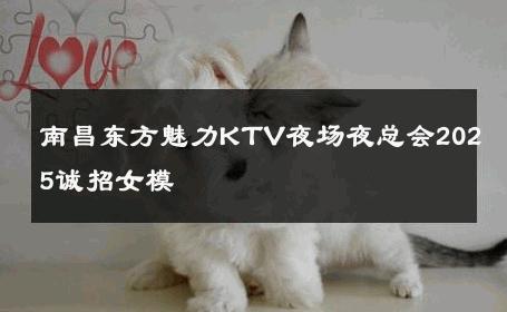 南昌东方魅力KTV夜场夜总会2025诚招女模 