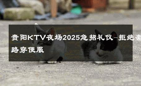贵阳KTV夜场2025急招礼仪-拒绝套路穿便服 