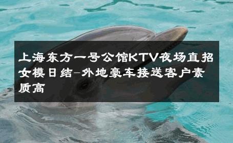 上海东方一号公馆KTV夜场直招女模日结-外地豪车接送客户素质高 