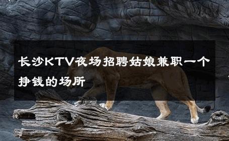 长沙KTV夜场招聘姑娘兼职一个挣钱的场所 