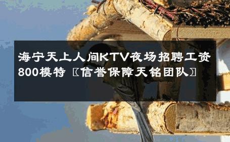 海宁天上人间KTV夜场招聘工资800模特〖信誉保障天铭团队〗 