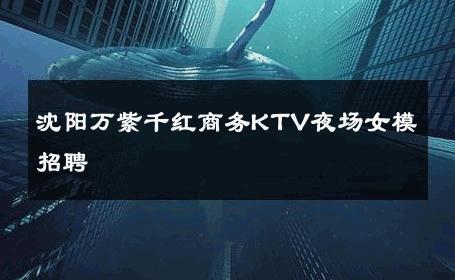 沈阳万紫千红商务KTV夜场女模招聘 