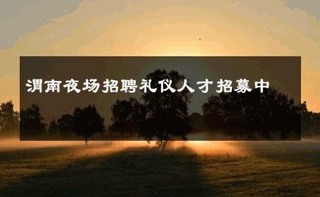 渭南夜场招聘礼仪人才招募中 