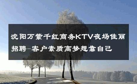 沈阳万紫千红商务KTV夜场佳丽招聘-客户素质高梦想靠自己 
