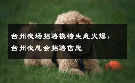 台州夜场招聘模特生意火爆，台州夜总会招聘信息