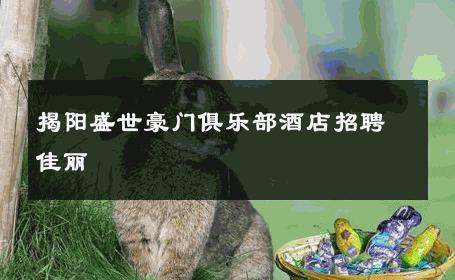 揭阳盛世豪门俱乐部酒店招聘佳丽 