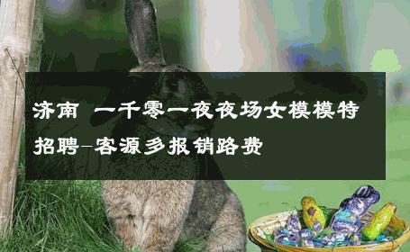 济南 一千零一夜夜场女模模特招聘-客源多报销路费 