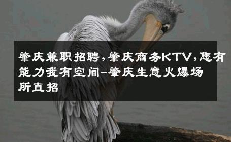 肇庆兼职招聘,肇庆商务KTV,您有能力我有空间-肇庆生意火爆场所直招