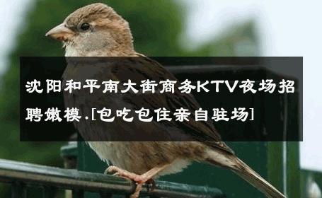 沈阳和平南大街商务KTV夜场招聘嫩模.[包吃包住亲自驻场] 