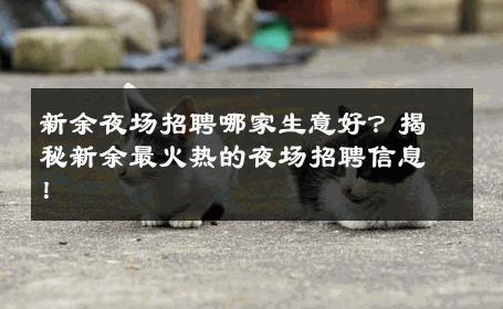 新余夜场招聘哪家生意好？揭秘新余最火热的夜场招聘信息！