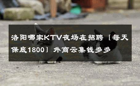 洛阳哪家KTV夜场在招聘［每天保底1800］外商云集钱多多 