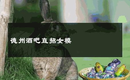 德州酒吧直招女模 