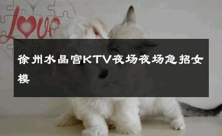 徐州水晶宫KTV夜场夜场急招女模 