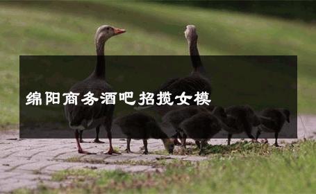 绵阳商务酒吧招揽女模 
