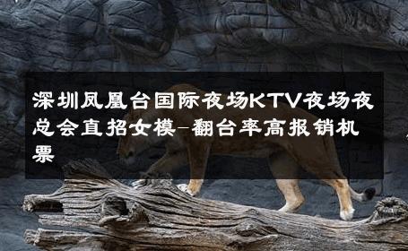 深圳凤凰台国际夜场KTV夜场夜总会直招女模-翻台率高报销机票 