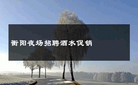 衡阳夜场招聘酒水促销 