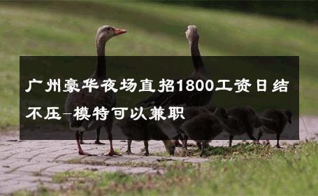 广州豪华夜场直招1800工资日结不压-模特可以兼职 