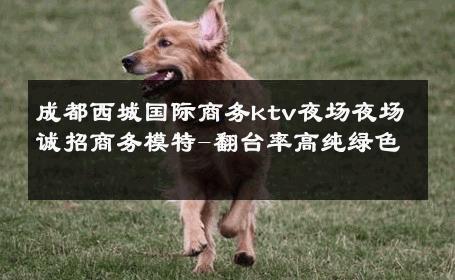成都西城国际商务ktv夜场夜场诚招商务模特-翻台率高纯绿色 
