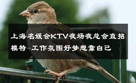 上海名媛会KTV夜场夜总会直招模特-工作氛围好梦想靠自己 