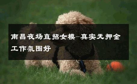 南昌夜场直招女模-真实无押金工作氛围好 
